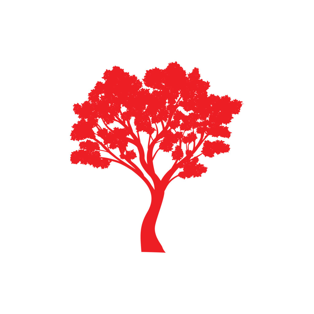 Arbol natural